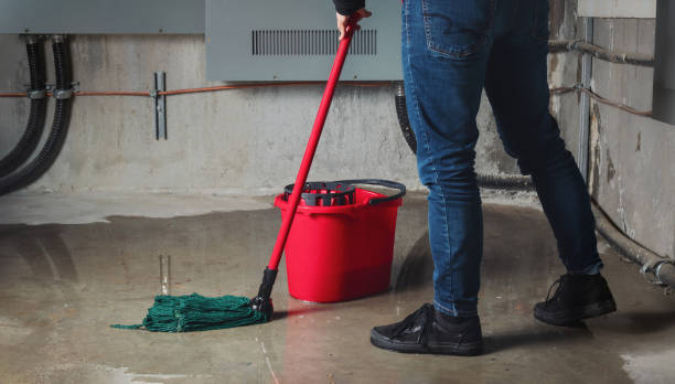 Best Basement water damage restoration  in Irvine, KY