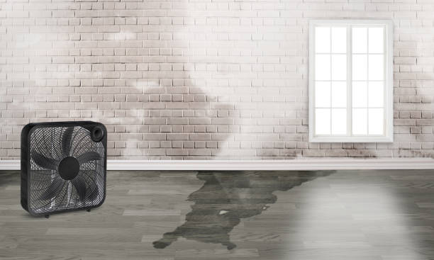  Irvine, KY Water damage restoration Pros