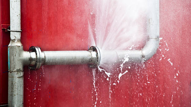 Best Water damage contractors near me  in Irvine, KY